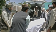 При теракте на собачьих боях в Кандагаре число жертв достигло 11 человек