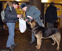 В московском метро усилены меры безопасности, правоохранители ищут взрывчатку 
