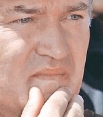 Семья Младича в шоке от известий об аресте