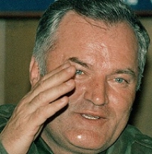 Противники ареста Младича закидали краской посольство Сербии в Москве