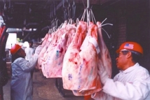 С 15 июня в РФ запрещен импорт мяса из трех штатов Бразилии 