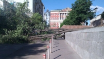 Сильный ветер в Москве повалил деревья и рекламные щиты 