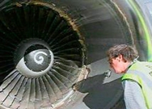 При посадке самолета в Астрахани в двигатель попала птица