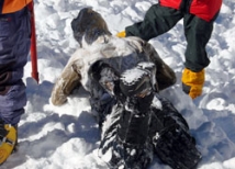 На Камчатке при сходе снежной лавины погиб спасатель 