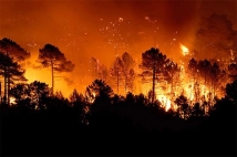 12 лесных пожаров бушуют на площади 150 гектаров в Югре 
