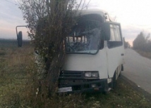 В Донецкой области маршрутное такси столкнулось с деревом 
