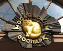 Московский зоопарк 1 января будет работать бесплатно 