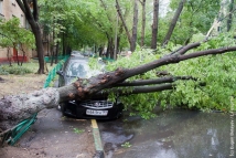 Ураган в Москве повалил деревья и парализовал движение 