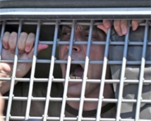 Четверо заключенных сбежали от полиции в Нижегородской области 