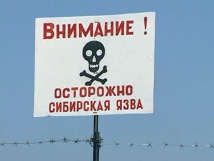 На Ставрополье из-за вспышки сибирской язвы введен режим ЧС  