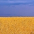 Lapplebik