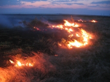 Еще четыре села в Забайкальском крае рискуют сгореть в степном пожаре 