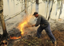 Шойгу играет с огнем