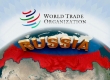 В верности ВТО Россия поклянется на Конституции
